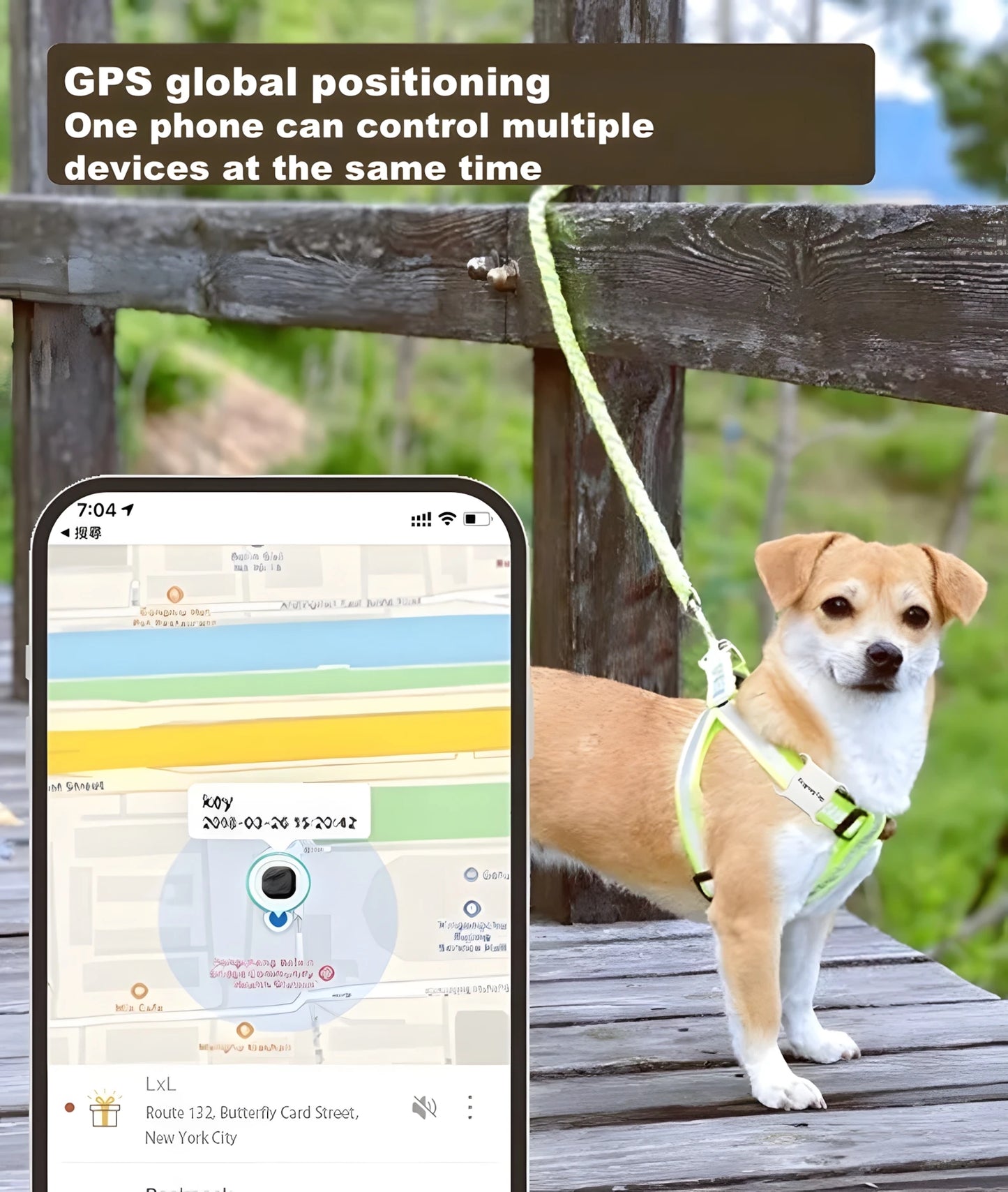 GPS-tracker för husdjur