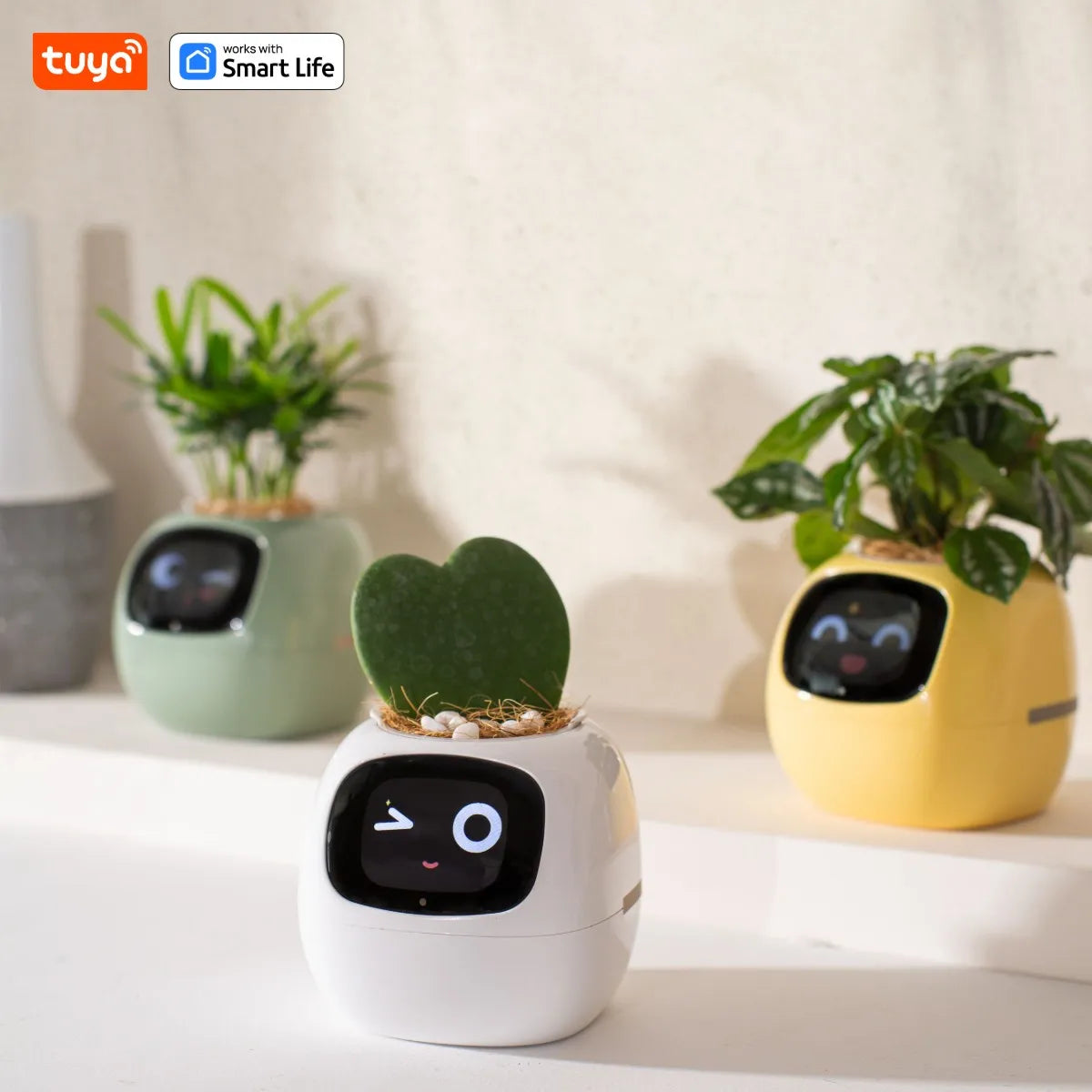 Smart vas (AI)