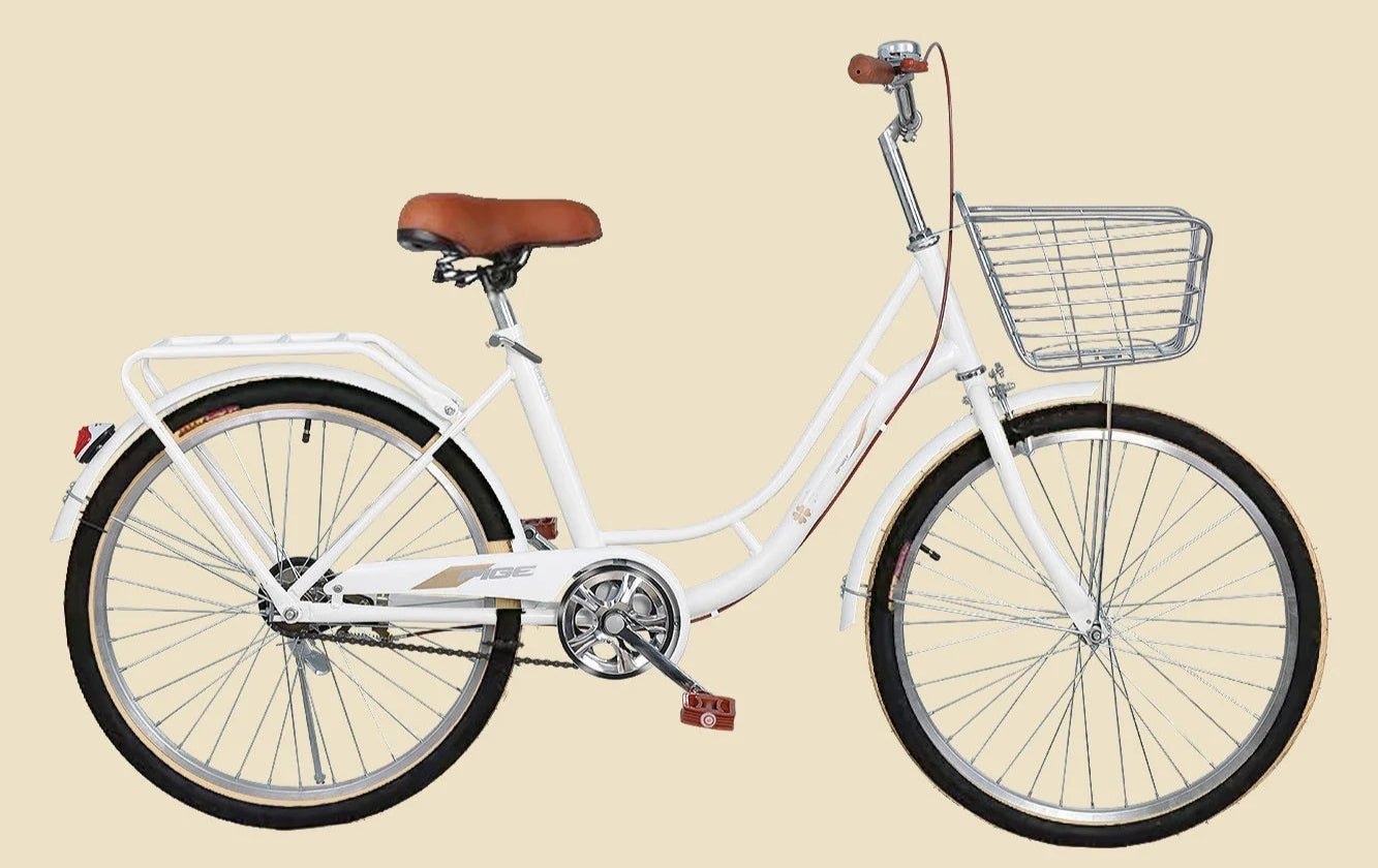 Damcykel Allround