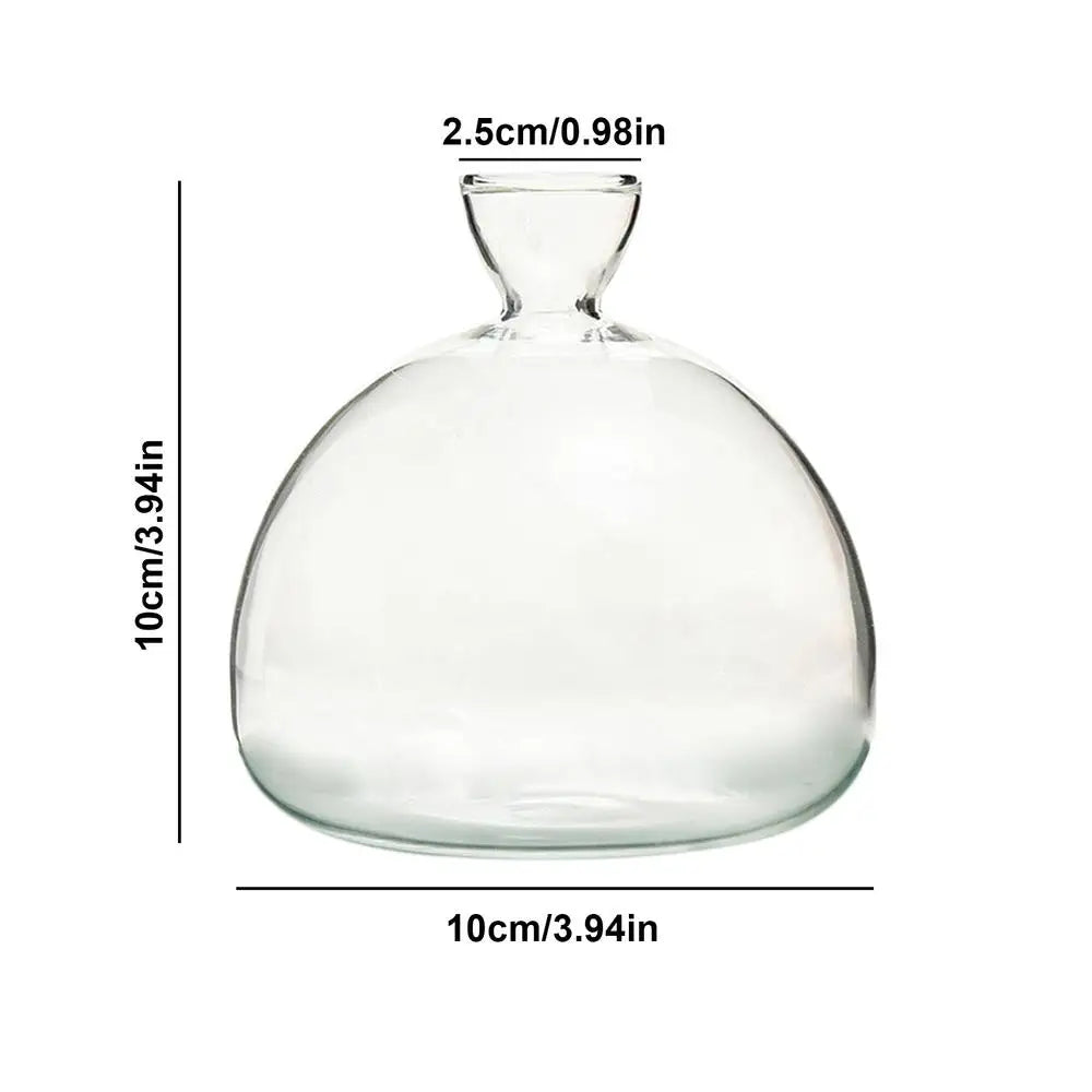 Elegant Glasvas för Växtodling