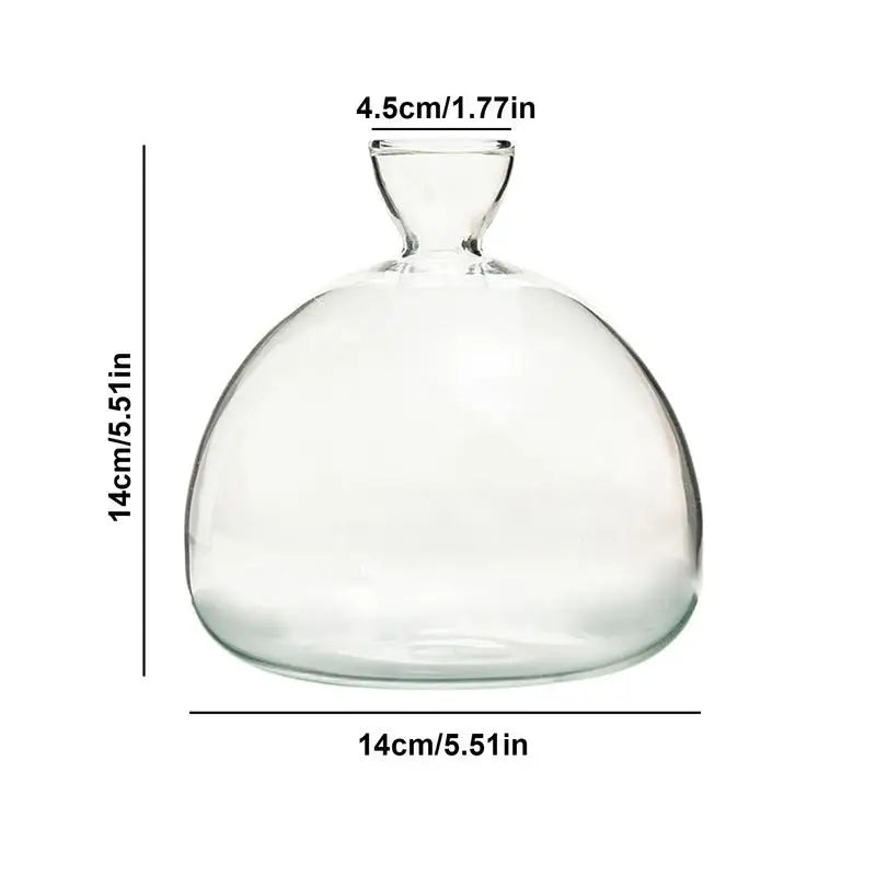 Elegant Glasvas för Växtodling