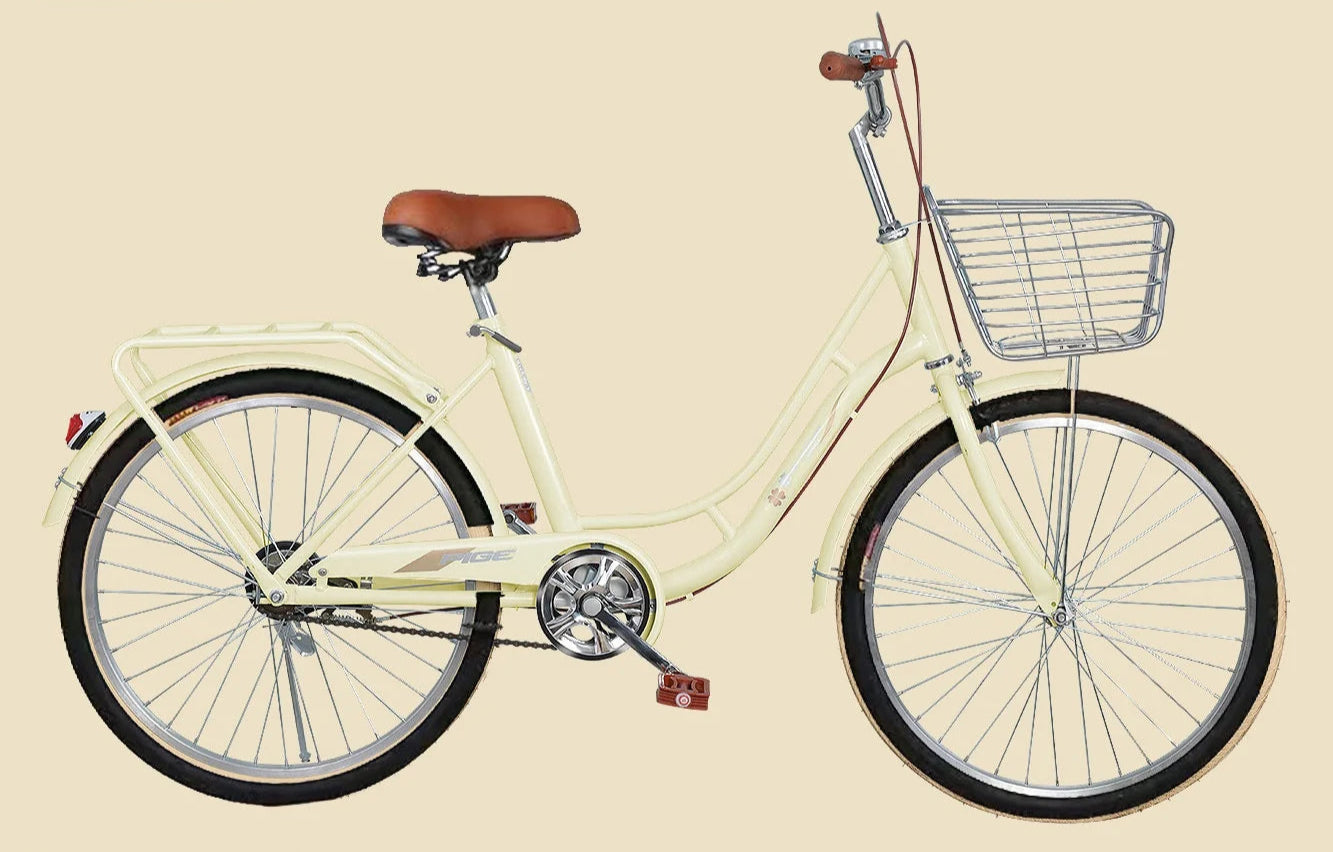 Damcykel Allround