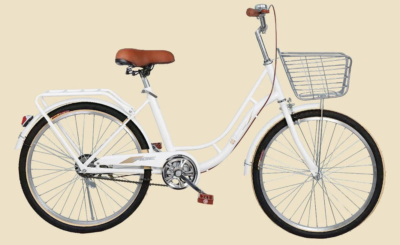 Damcykel Allround