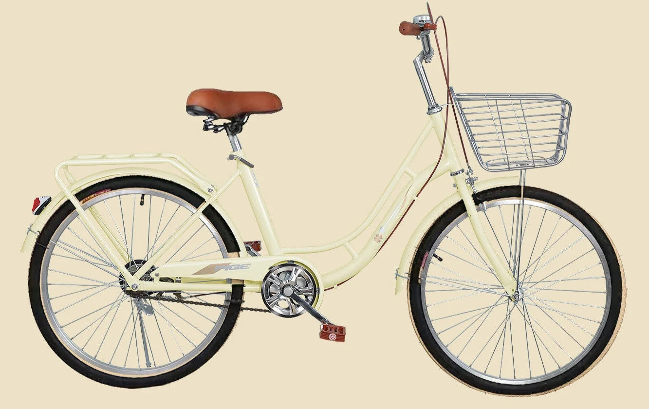 Damcykel Allround