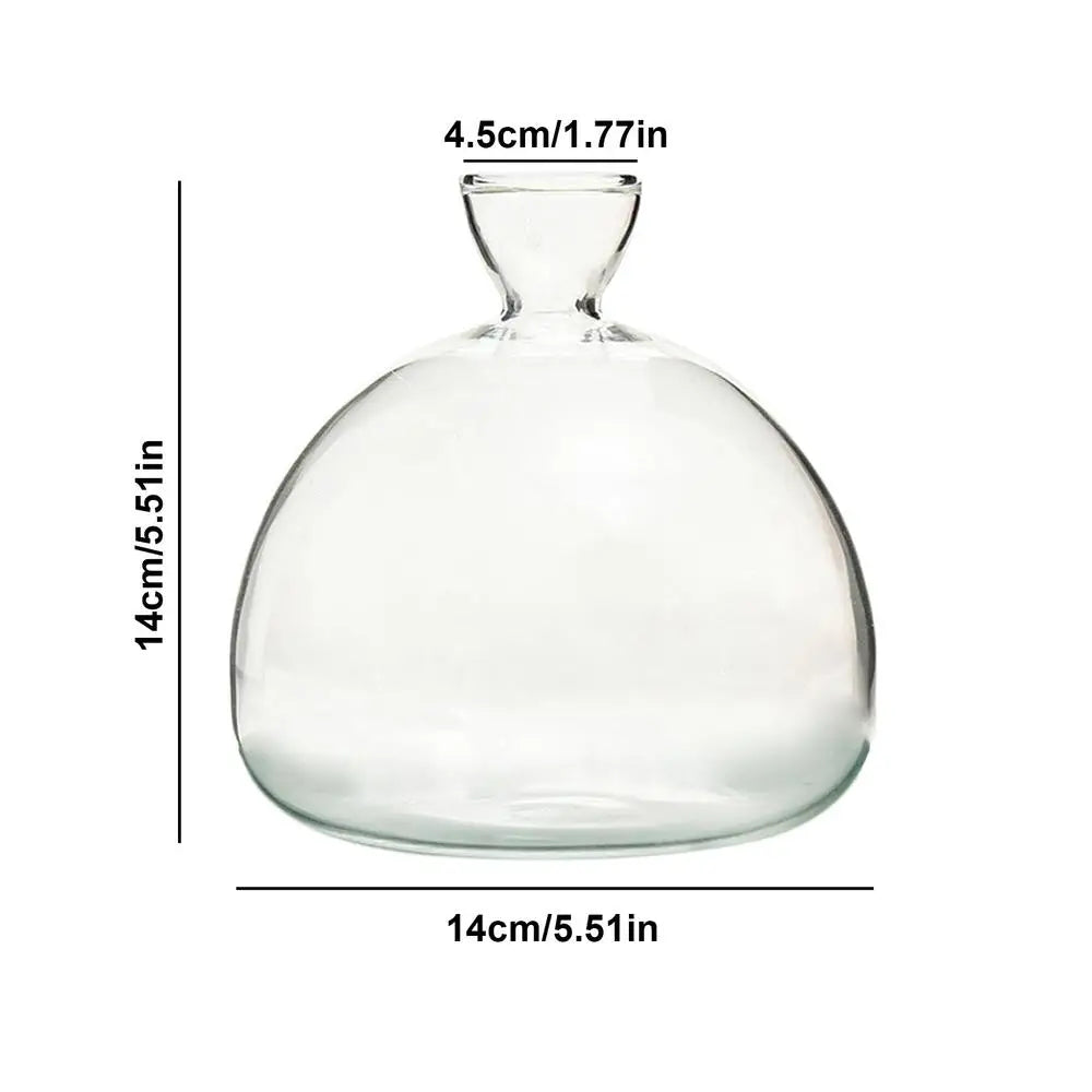 Elegant Glasvas för Växtodling